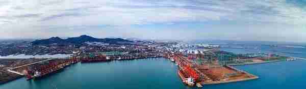 港口集团在青岛成立意味着啥？能给山东带来啥？