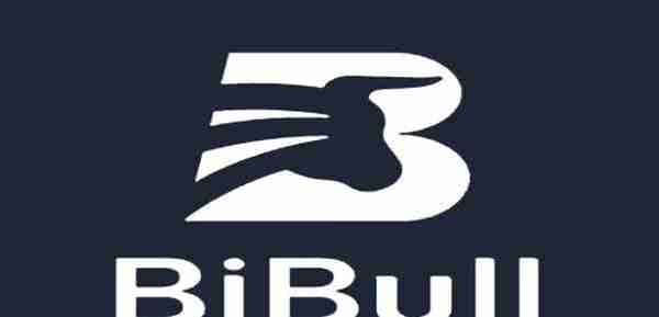 bibull交易所(BiBull币牛作为区块链中的清流如何推动行业发展)