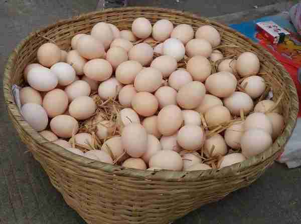英国禽流感蔓延叠加通胀，多国遭遇鸡蛋荒，能否提振国内鸡蛋期货