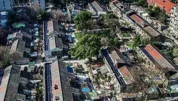 一个上海人眼中极为普通的街道，却隐藏着那么多亮点
