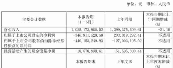 悦达投资2020年上半年亏损3.47亿由盈转亏 DYK公司销量下降