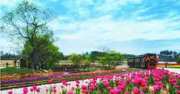 武汉推动木兰文化生态旅游区加速发展，建设度假型养老产业集群