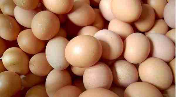 鸡蛋期货基本面分析