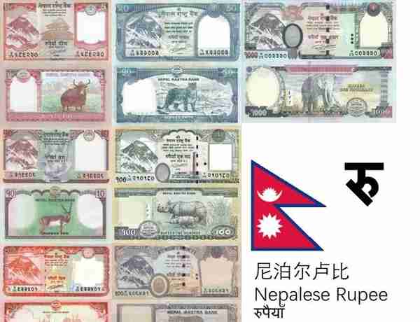 深汇外币鉴｜很自豪 尼泊尔卢比中国造