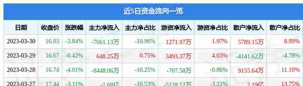 视觉中国（000681）3月30日主力资金净卖出7061.13万元