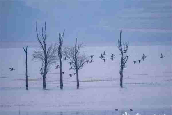 会泽念湖：鸟类的“伊甸园”