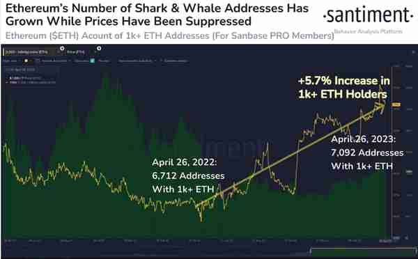鲸鱼看好以太坊价格反弹；ETH 价格准备上涨 20%！