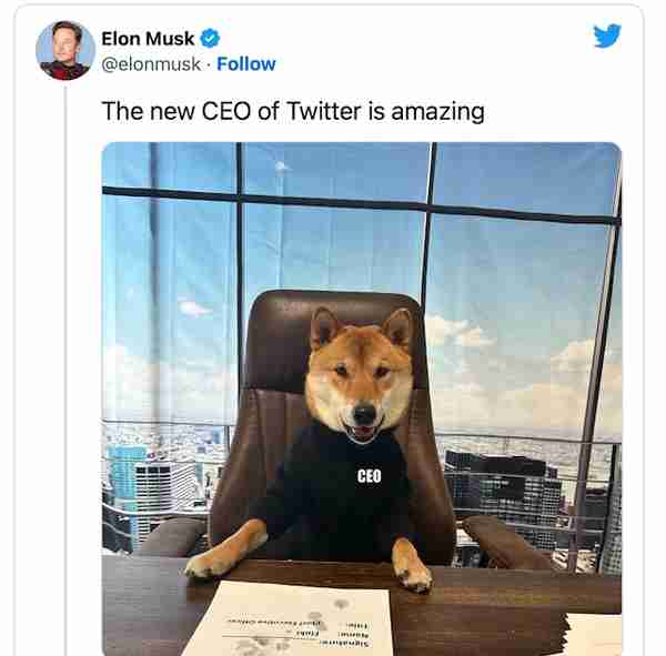 推特logo变狗头，丢掉世界首富头衔的马斯克又在干什么？