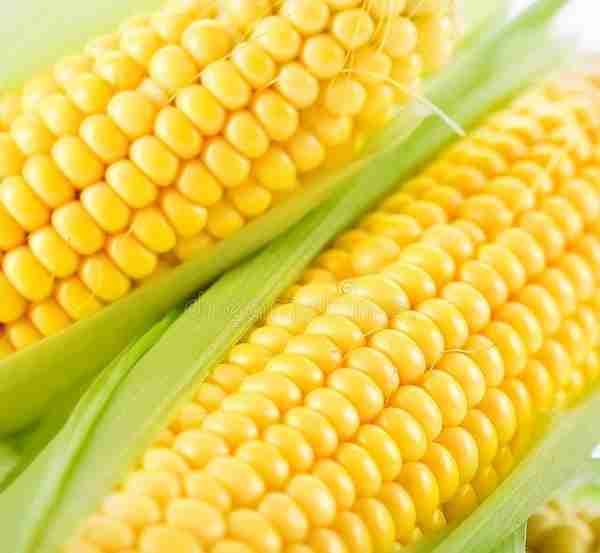 玉米再度上涨，不得不了解的玉米交割知识——滚动交割