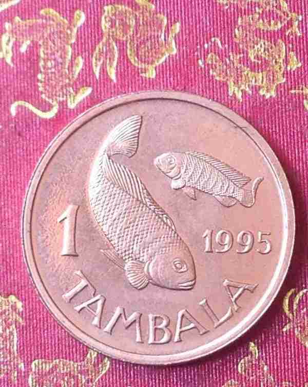 马拉维共和国1995年1坦巴拉硬币