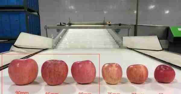 疯狂的苹果：120吨108万元交割品搅动2000亿现货市场