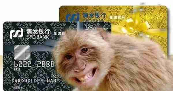 最新浦发信用卡内部提额姿势，猴子行也能征服