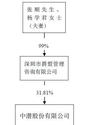 惠州中潜股份2019年报分析
