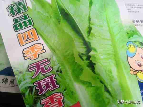 "火锅菜"有哪些品种？应季种植，新鲜实惠超暖胃
