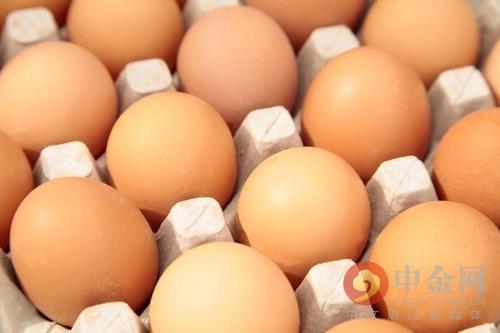 鸡蛋期货套期保值(鸡蛋期货规则)