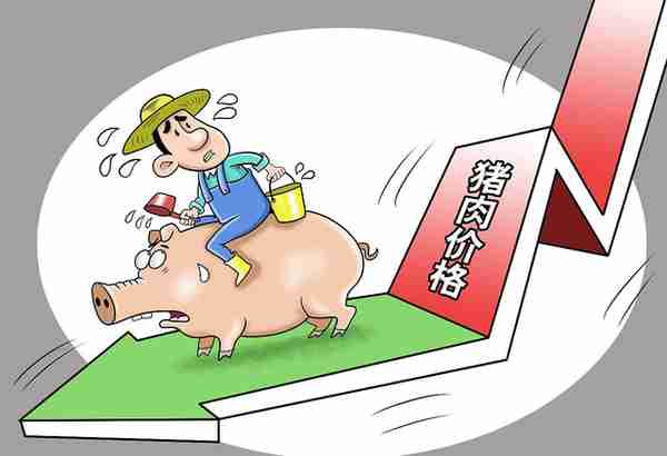 2月18日，猪价弱稳期货“跳涨”，发生了啥？猪价又要涨？