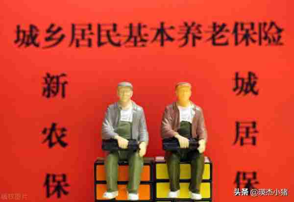 在浙江，一次性补缴城乡居民养老保险后，每月能拿到多少钱？